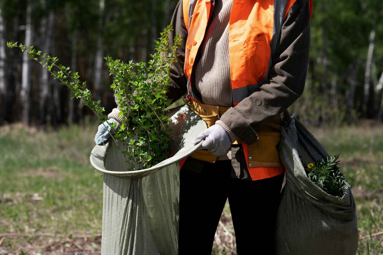 Best Tree Clearing Services  in Deer Park, TX